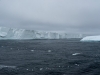 _DSC5493