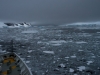 _DSC5341