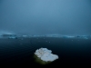 _DSC5363