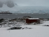 _DSC5383