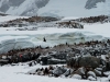 _DSC5440