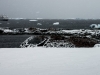 _DSC5455