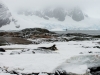 _DSC5532