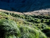 _DSC6686