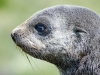_DSC7113