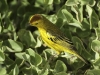 dscf0294