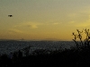 dscf0371