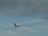 dscf0614