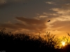 dscf0630