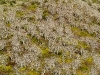 dscf0778