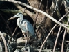 dscf0984