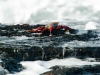 dscf1010