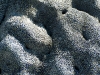 dscf1153