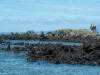 dscf1158