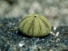 dscf1165