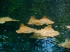 dscf1245
