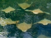 dscf1265