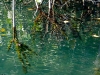dscf1276