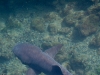 dscf1432