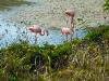 dscf1441