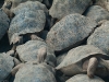 dscf1447
