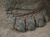 dscf1451