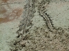 dscf1475