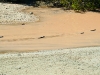 dscf1482