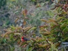 dscf1580