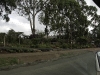 kenya-2009-4-of-79