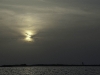 san-felipe-tarpon-fishing-11