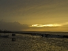 san-felipe-tarpon-fishing-19