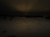 san-felipe-tarpon-fishing-21