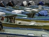 san-felipe-tarpon-fishing-24