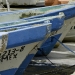 san-felipe-tarpon-fishing-25