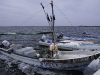 san-felipe-tarpon-fishing-26