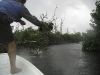 san-felipe-tarpon-fishing-29