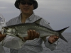 san-felipe-tarpon-fishing-6