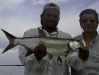 san-felipe-tarpon-fishing-8