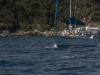 St. Thomas 2009 April
